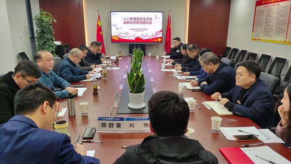 安徽鹽業(yè)地產(chǎn)集團公司黨委召開(kāi)2020年度民主生活會(huì )前征求意見(jiàn)座談會(huì )