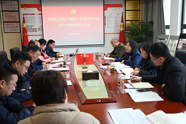 李芳赴徽鹽地產(chǎn)集團六安項目公司黨支部督導2021年度組織生活會(huì )
